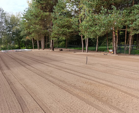 Vejos įrengimas: sėjimas, ruloninė veja - Vejos įrengimas, aplinkos tvarkymas, kelmų frezavimas. - 2