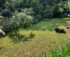 Vejos įrengimas: sėjimas, ruloninė veja - Vejos skarifikavimas aeravimas tre&scaron;imas samanų naikinimas - 4