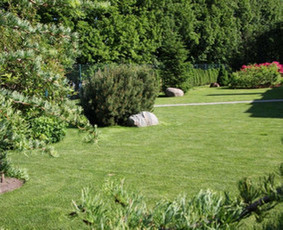 Vejos įrengimas: sėjimas, ruloninė veja - Vejos skarifikavimas aeravimas tre&scaron;imas samanų naikinimas - 2