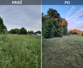 Pievų &scaron;ienavimas - Vejos skarifikavimas aeravimas tre&scaron;imas samanų naikinimas - 4