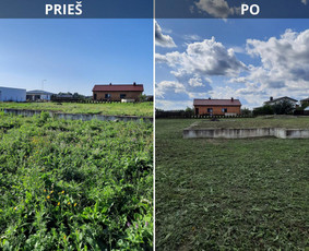 Pievų &scaron;ienavimas - Vejos skarifikavimas aeravimas tre&scaron;imas samanų naikinimas - 3