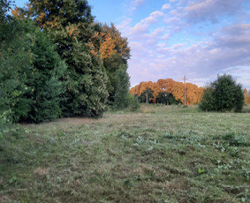 Pievų &scaron;ienavimas - Vejos skarifikavimas aeravimas tre&scaron;imas samanų naikinimas - 1