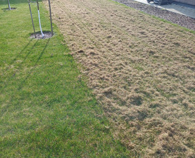 Vejos aeravimas - Vejos skarifikavimas aeravimas trę&scaron;imas samanų naikinimas - 4