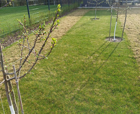 Vejos aeravimas - Vejos skarifikavimas aeravimas tre&scaron;imas samanų naikinimas - 4