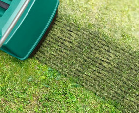 Vejos priežiūra, įrengimas - Vejos skarifikavimas aeravimas tre&scaron;imas samanų naikinimas - 4