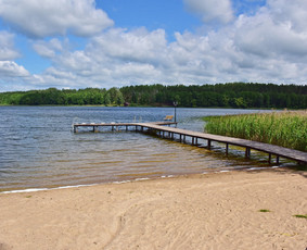 Sodybų nuoma ir pirties ritualai su pirtininku / Jūratė Martinkėnaitė / Darbų pavyzdys ID 4334259