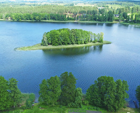 Sodybų nuoma ir pirties ritualai su pirtininku / Jūratė Martinkėnaitė / Darbų pavyzdys ID 4334343