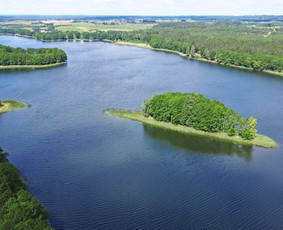 Sodybų nuoma ir pirties ritualai su pirtininku / Jūratė Martinkėnaitė / Darbų pavyzdys ID 4334345