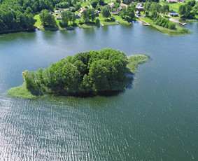 Sodybų nuoma ir pirties ritualai su pirtininku / Jūratė Martinkėnaitė / Darbų pavyzdys ID 4334351