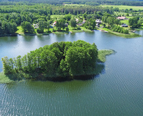 Sodybų nuoma ir pirties ritualai su pirtininku / Jūratė Martinkėnaitė / Darbų pavyzdys ID 4334353