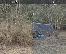 Apleistų sklypų tvarkymas - Sklypų valymas, žolės pjovimas, krūmų ir medžių pjovimas - 2