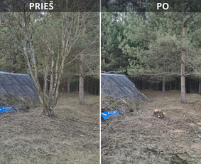 Aplinka, sodas - Sklypų valymas, žolės pjovimas, krūmų ir medžių pjovimas - 2