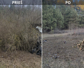 Apleistų sklypų tvarkymas - Sklypų valymas, žolės pjovimas, krūmų ir medžių pjovimas - 1
