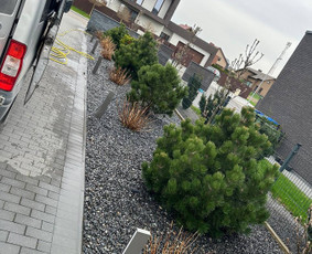 Automatinė laistymo sistema, pilnas kiemo apželdinimas / UAB Zuikis Pievoj / Darbų pavyzdys ID 4335019