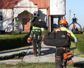 Statybos, apdaila - Medžių pjovimas, genėjimas - 3