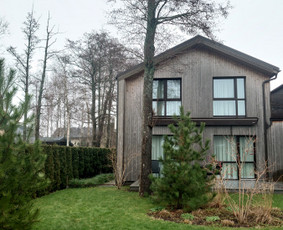 Statybos, apdaila - Medžių pjovimas, genėjimas, avarinių medžių &scaron;alinimas - 1