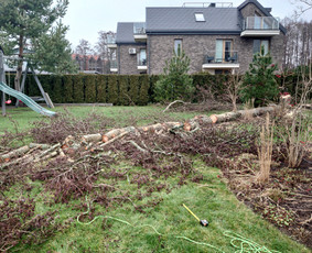 Statybos, apdaila - Medžių pjovimas, genėjimas, avarinių medžių &scaron;alinimas - 3