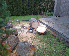 Statybos, apdaila - Medžių pjovimas, genėjimas, avarinių medžių &scaron;alinimas - 4