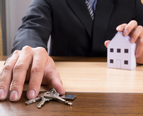 NT Agentas / Brokeris Alytuje ir Dzūkijoje / Justas Lapinskas / Darbų pavyzdys ID 4337257