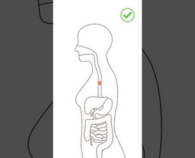 Reklama, dizainas, spauda - Video Filmavimas, Montavimas, Fotografavimas - 3