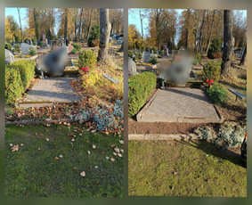 Kapų tvarkymas, priežiūra - Kapų tvarkymas ir priežiūra - 1