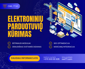 Svetainių kūrimas - Next.js ekspertas: Greitų verslo sistemų ir Seo optimizuotų - 1