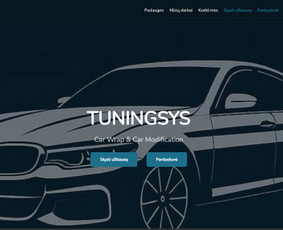 Internetas, IT - Svetainių kūrimas su Laravel - 3