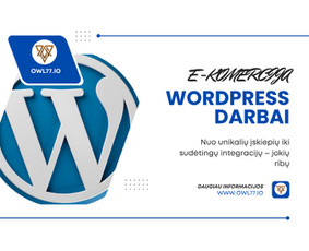 Interneto svetainių kūrimas - Next.js ekspertas: Greitų verslo sistemų ir Seo optimizuotų - 1