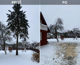Avarinių medžių pjovimas - Sklypų tvarkymas: medžių ir krūmų pjovimas su i&scaron;vežimu. - 1