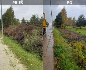 &Scaron;akų i&scaron;vežimas - Sklypų tvarkymas: medžių ir krūmų pjovimas su i&scaron;vežimu. - 4