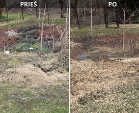 Tradiciniai amatai - Kelmų &Scaron;alinimas, Auk&scaron;talipių paslaugos. - 2