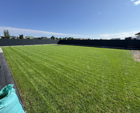 Aplinkos tvarkymas, apželdinimas - Gerbūvio darbai - 2