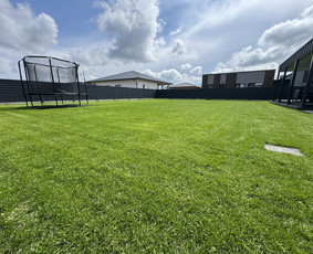 Aplinkos tvarkymas, apželdinimas - Gerbūvio darbai - 1