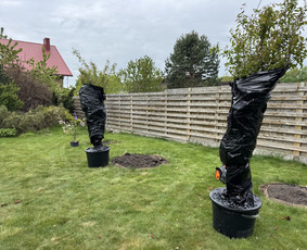 Vejos priežiūra, įrengimas - Gerbūvio darbai - 2