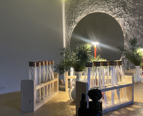 Studija / MB Mėnulis ir žvaigždė / Darbų pavyzdys ID 4338867