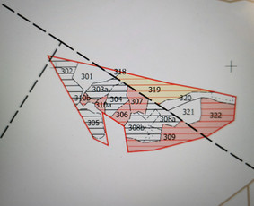 Tradiciniai amatai - Mi&scaron;kotvarkos projektai, Mi&scaron;kininkystė, Mi&scaron;kai - 4