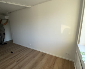 Vidaus apdailos darbai / Vidaus apdaila / Darbų pavyzdys ID 4338969