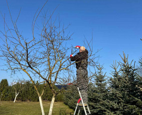 Vaismedžių genėjimas - Genėjimas, apželdinimas ir kiti aplinkotvarkos darbai - 1