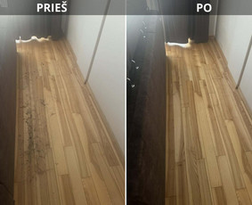 Namų valymas, tvarkymas - &Scaron;varą Jūsų namams - 4