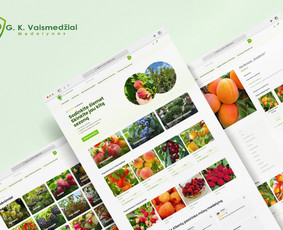 Interneto svetainių kūrimas - Jūsų svetainėje parodau, kas stabdo lankytojus pasilikti - 1