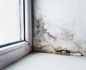 Statybos darbai - Tyrimai: Termovizija, Pelėsis, Oro kokybė, Akustika, Radonas - 2