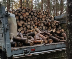 Malkos: gamyba, pristatymas - Parduodamos malkos pu&scaron;is, eglė 8m&sup3; - 2