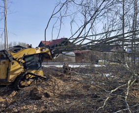 Apleistų sklypų tvarkymas - Zemes frezavimas, medziu, krumu, kelmu salinimas, zoles pjov - 3