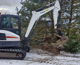 Apleistų sklypų tvarkymas - Zemes frezavimas, medziu, krumu, kelmu salinimas, zoles pjov - 1