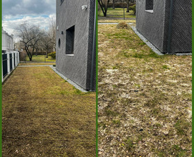 Vejos priežiūra, įrengimas - Vejos skarifikavimas, trę&scaron;imas, senos žolės surinkimas. - 1