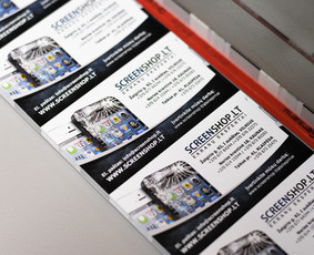 Spauda / Reklamos gamyba / Verslo dovanos / Maketavimas / Grafinės idėjos / Darbų pavyzdys ID 4341351