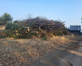 Statybos, apdaila - Auk&scaron;tos žolės pjovimas, smulkinimas. - 1