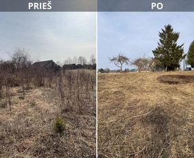 Aplinkos tvarkymas, apželdinimas - Tvarkingi Sklypai Panevėžyje - 1