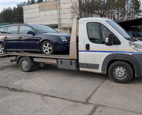 Krovinių pervežimas - Traliukas Alytuje, traliuko paslaugos Alytus - 2