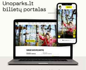 Mokėjimo sistemų pajungimas - Internetinių svetainių/parduotuvių kūrimas (seo/ads) - 1